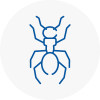 Ant Removals In Leigh