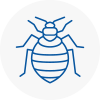 Bed Bug Extermination In Leigh