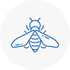 Bee Nest Removal Leigh