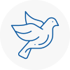 Bird Prevention Leigh