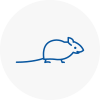 Mice Exterminators In Leigh