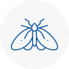 Moth Control Specialists In Leigh