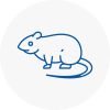 Rat Control Leigh