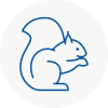 Leigh Rodent Removals