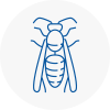 Leigh Wasp Nest Removal